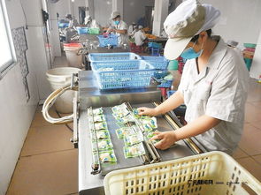 區域優勢轉化為發展動能 四川打造一批商貿物流特色鎮，食品經營煥發新活力